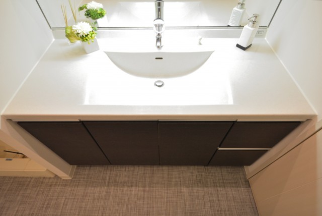 藤和学芸大学ホームズⅡ 洗面室