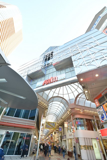 藤和学芸大学ホームズⅡ 周辺