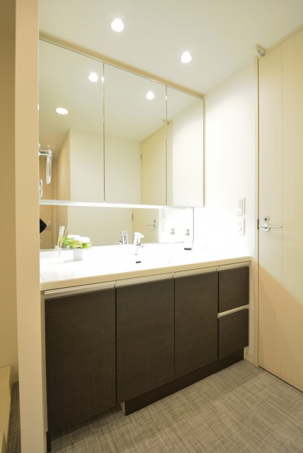 藤和学芸大学ホームズⅡ 洗面室