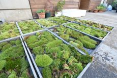 藤和学芸大学ホームズⅡ 周辺