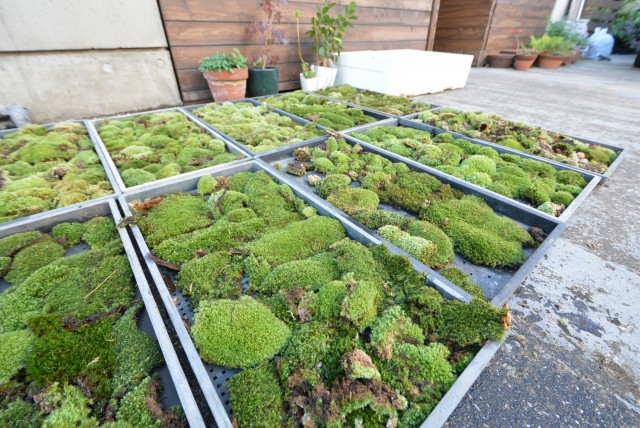 藤和学芸大学ホームズⅡ 周辺