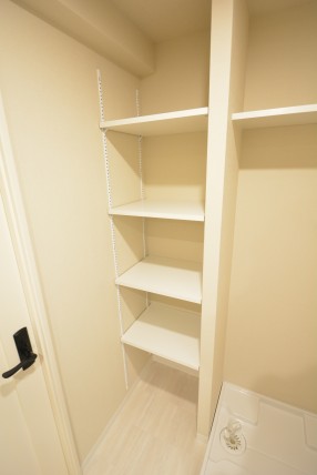 日生野沢マンション 洗面室