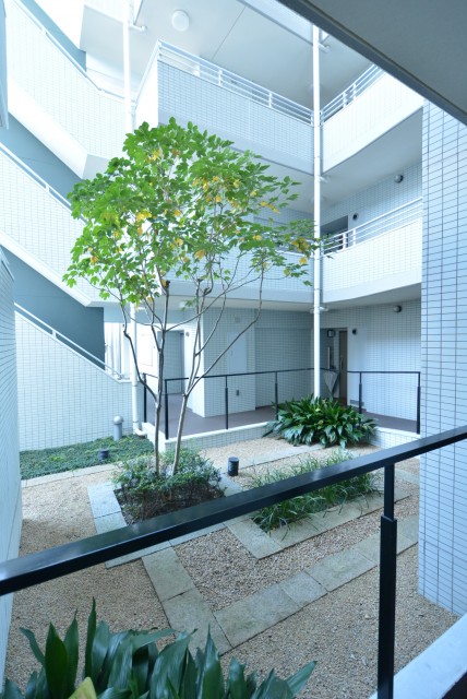 藤和学芸大学ホームズⅡ 外廊下