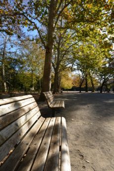 藤和学芸大学ホームズⅡ 周辺