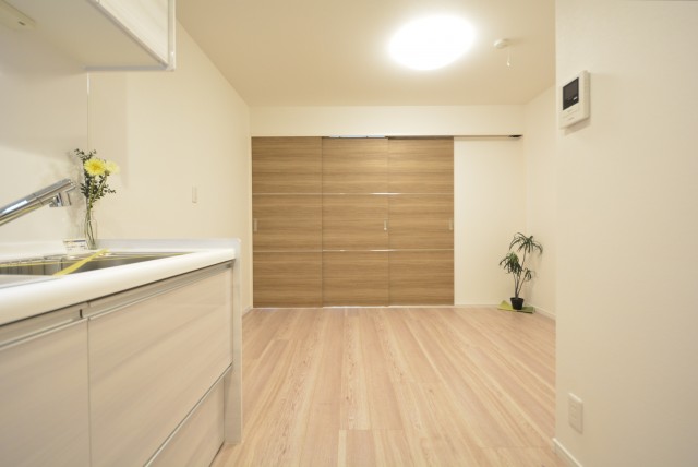 ビッグ武蔵野池袋 DK