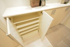 藤和学芸大学ホームズⅡ 玄関