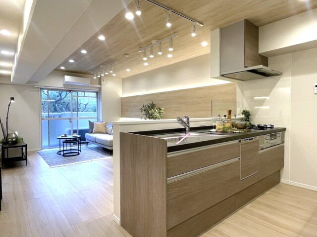 シティコープ豊洲 LDK