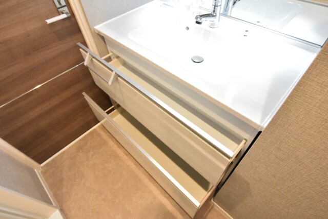 秀和第２高輪レジデンス 洗面室