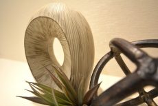 藤和学芸大学ホームズⅡ 玄関