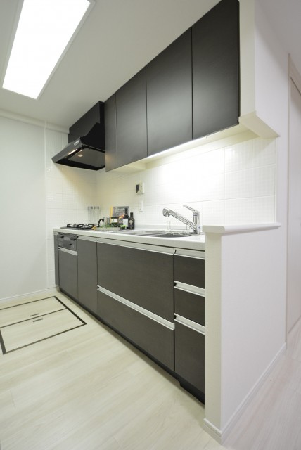 藤和学芸大学ホームズⅡ (90)キッチン