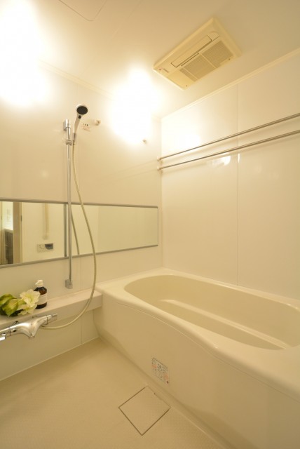 藤和学芸大学ホームズⅡ 浴室