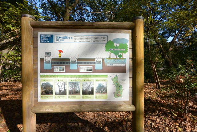 藤和学芸大学ホームズⅡ 周辺