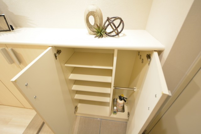 藤和学芸大学ホームズⅡ 玄関