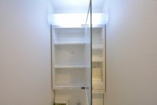 ビッグ武蔵野池袋 洗面室