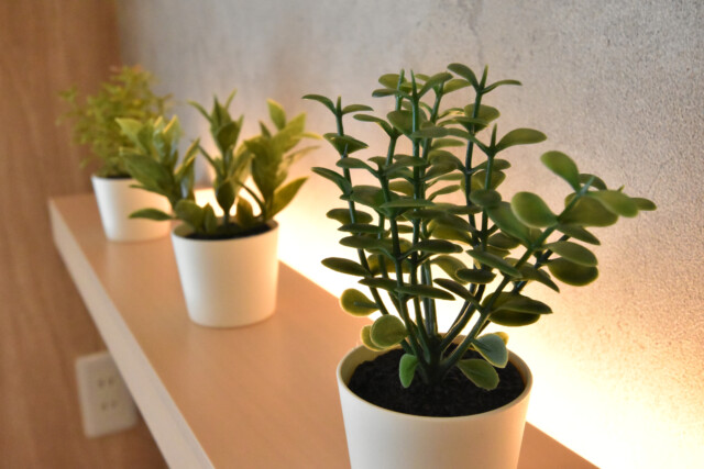 神宮前コーポラス LDK