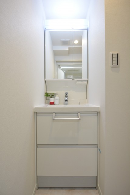 ビッグ武蔵野池袋 洗面室