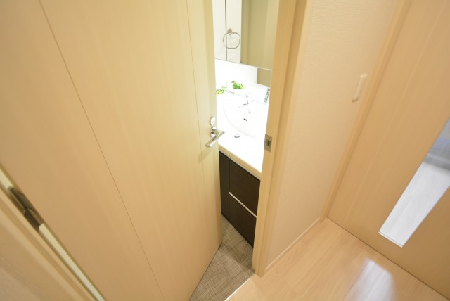 藤和学芸大学ホームズⅡ 洗面室