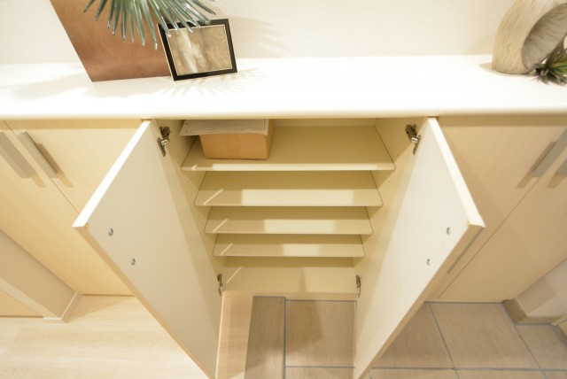 藤和学芸大学ホームズⅡ 玄関