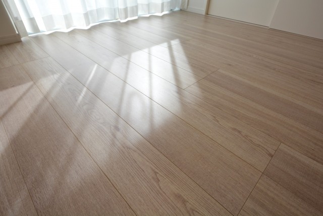 ビッグ武蔵野池袋 DK+洋室2