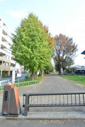 フィールT幡ヶ谷 周辺