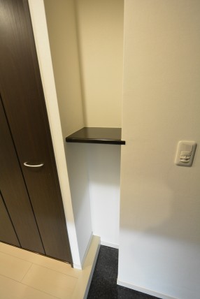 日神パレステージ三軒茶屋Ⅱ (53)玄関