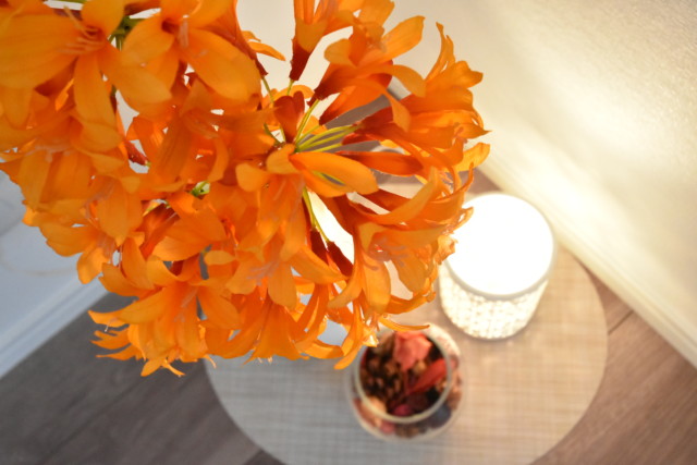 ヴァンヴェール世田谷 LDK