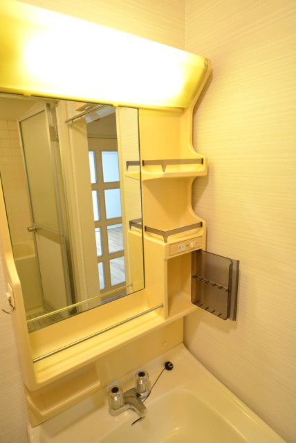 藤和三軒茶屋コープ 洗面室