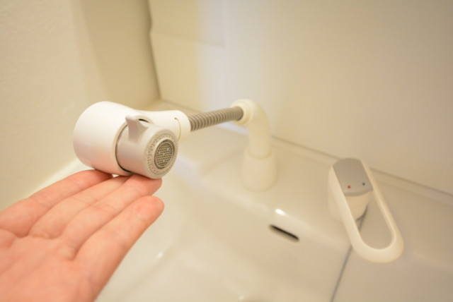 藤和三軒茶屋コープ 洗面室