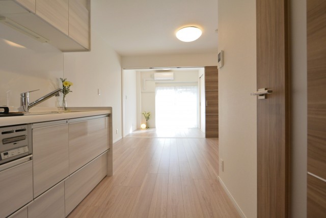 ビッグ武蔵野池袋 DK+洋室2