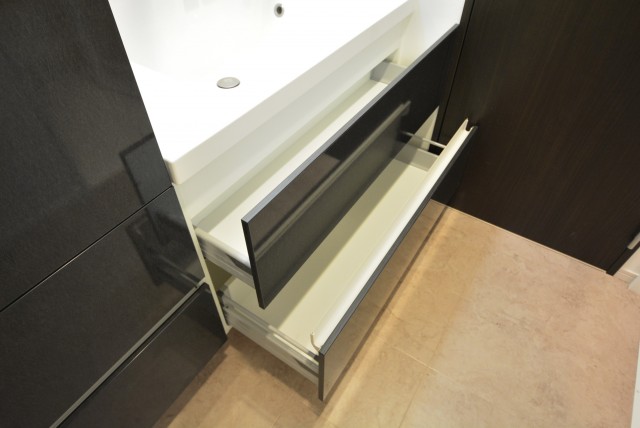 日神パレステージ三軒茶屋Ⅱ 洗面室