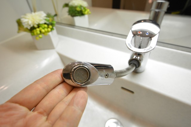 藤和学芸大学ホームズⅡ 洗面室