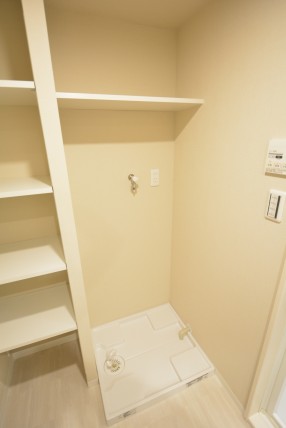 日生野沢マンション 洗面室