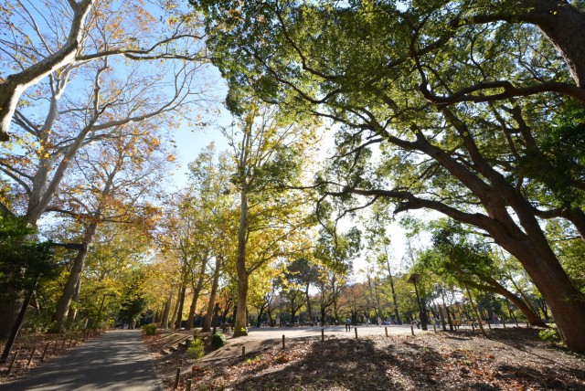 藤和学芸大学ホームズⅡ 周辺