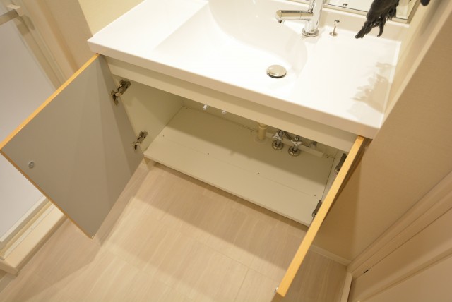 日生野沢マンション 洗面室