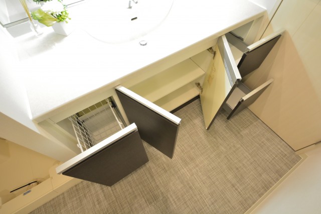 藤和学芸大学ホームズⅡ 洗面室