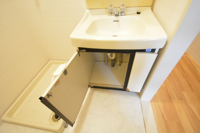 藤和三軒茶屋コープ 洗面室