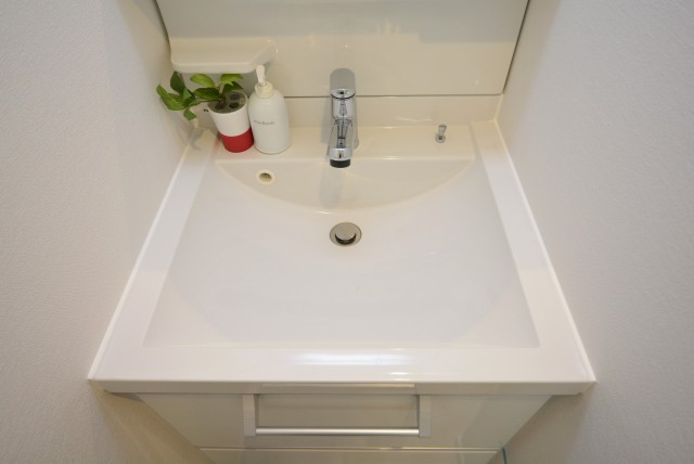 ビッグ武蔵野池袋 洗面室