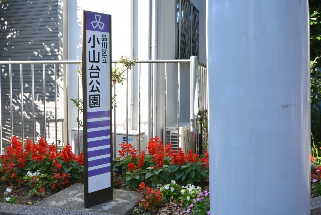 藤和学芸大学ホームズⅡ 周辺