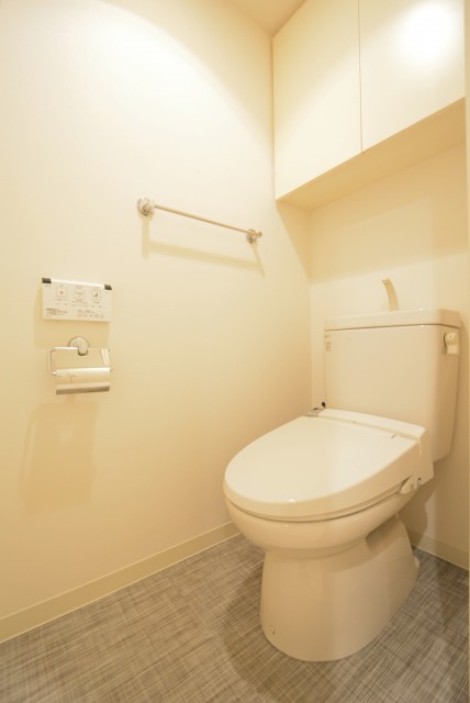 藤和学芸大学ホームズⅡ トイレ