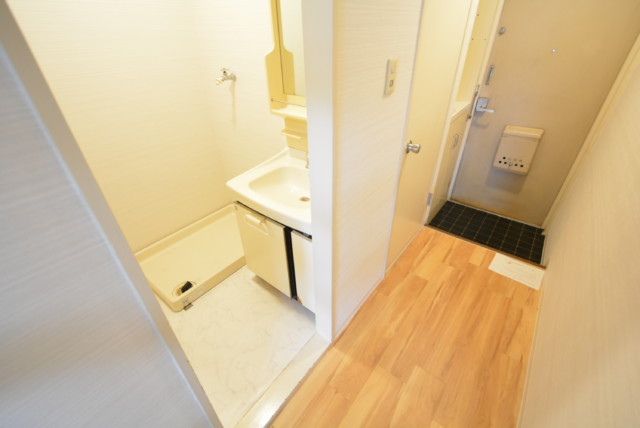 藤和三軒茶屋コープ 洗面室