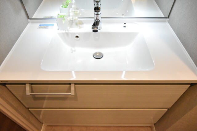 秀和第２高輪レジデンス 洗面室