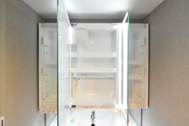 秀和第２高輪レジデンス 洗面室