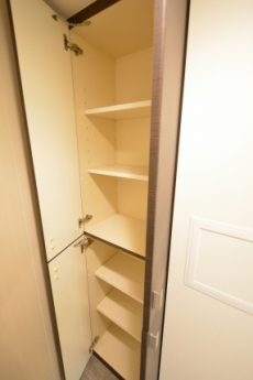 藤和学芸大学ホームズⅡ 洗面室