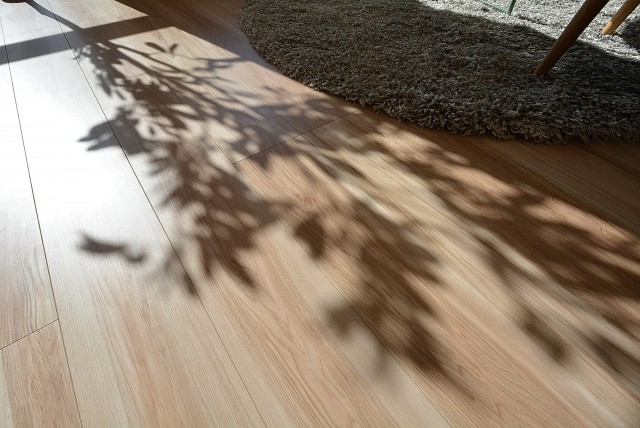 日生野沢マンション LDK