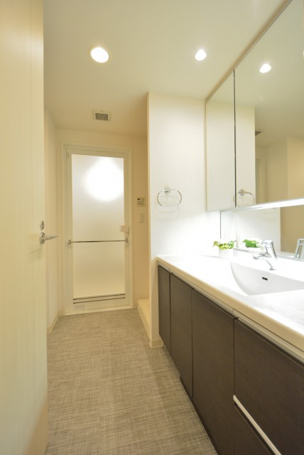 藤和学芸大学ホームズⅡ 洗面室