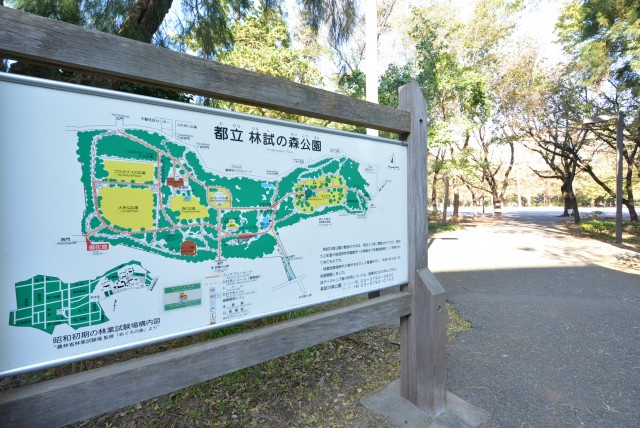 藤和学芸大学ホームズⅡ 周辺