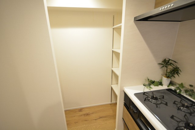 ニューライフ等々力 キッチン