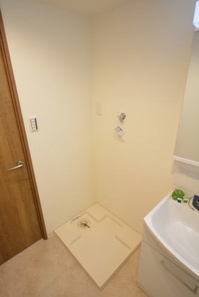 キャッスル共進マンション 洗面室