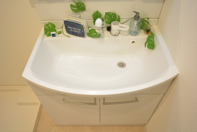 キャッスル共進マンション 洗面室