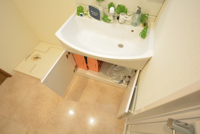 キャッスル共進マンション 洗面室